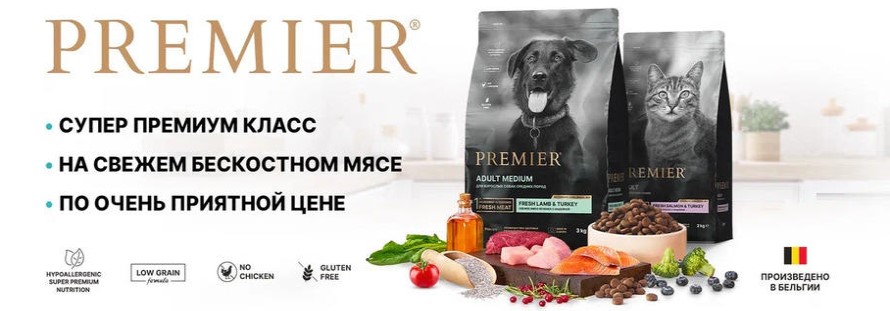 Баннер Premier