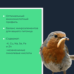 Yumster мучной червь консервированный - 40 г