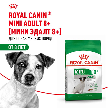 Royal Canin Mini Adult 8+ сухой корм для пожилых собак мелких пород старше 8 лет - 4 кг