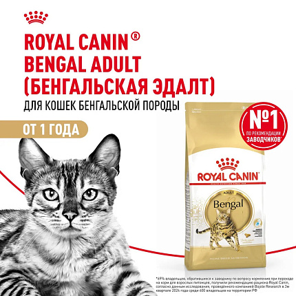 Royal Canin Bengal сухой корм для взрослых бенгальских кошек - 2 кг