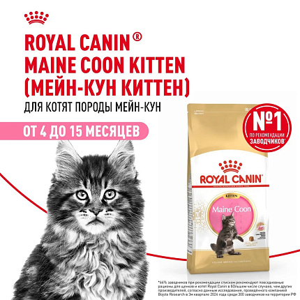 Royal Canin Maine Coon Kitten сухой корм для котят породы мейн - кун - 400 г
