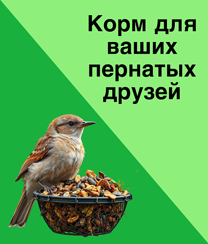 Корм для птиц