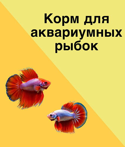 Корм для рыбок